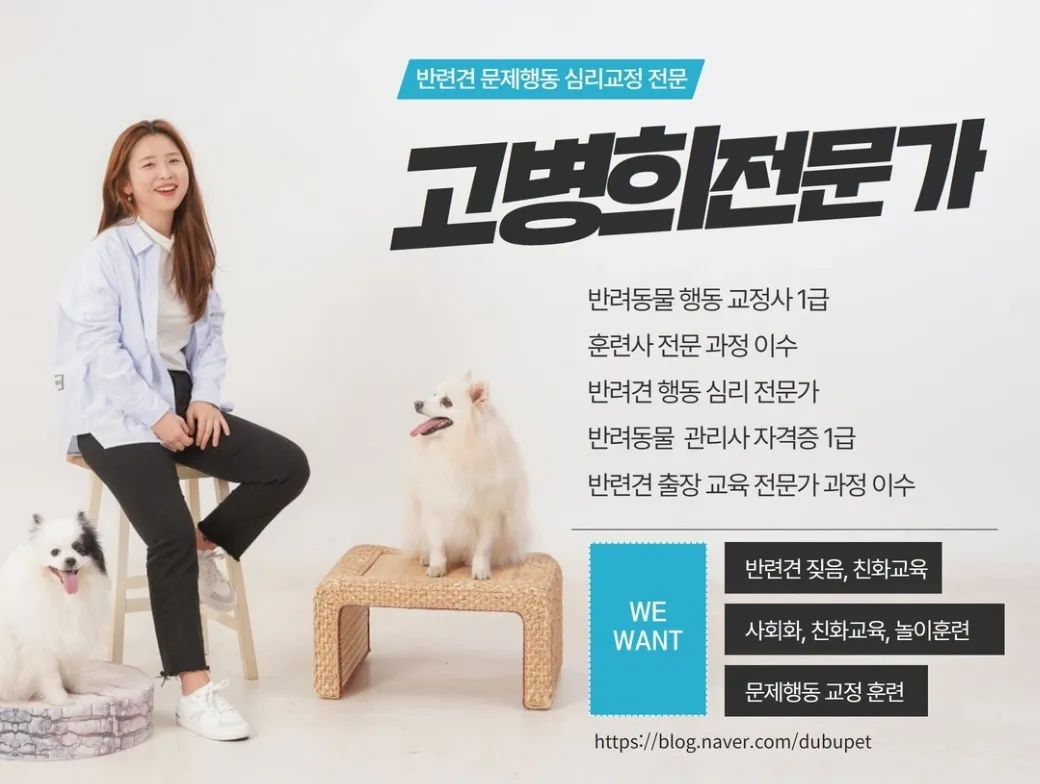 반려견 행동 교정 전문가