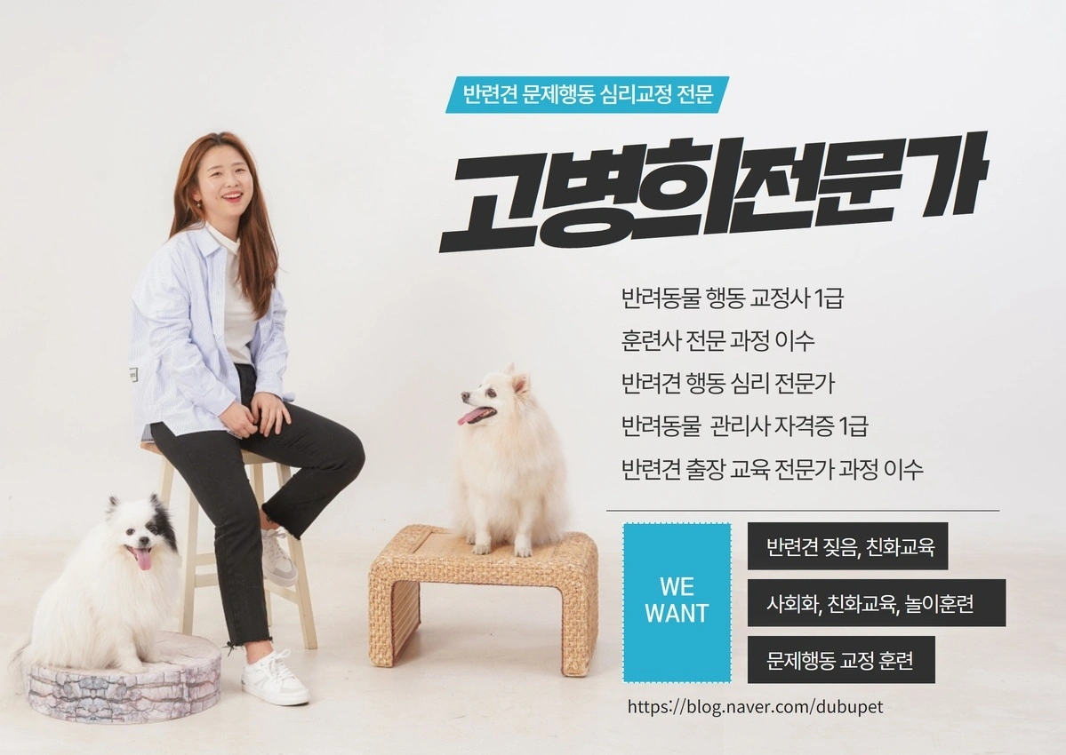 반려견 행동 교정 전문가